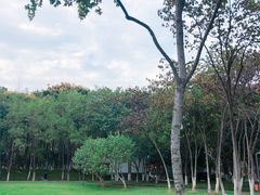 -后襄河公园