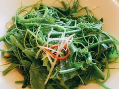 丝瓜尖-巴依老爷新疆美食(工体旗舰店)