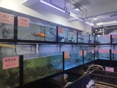 水产区-联邦酒楼