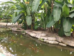 -南通洲际绿博园