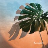 邂逅冬日暖咖 | INTIME及时咖啡