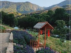 -广州市石门国家森林公园
