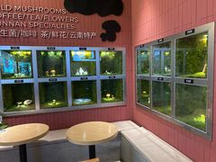 -芸山季·云南野生菌火锅(宝能环球汇店)