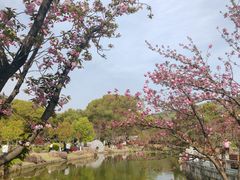 -白马涧龙池景区