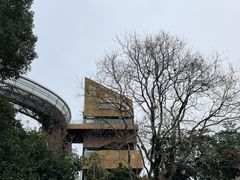 -福道
