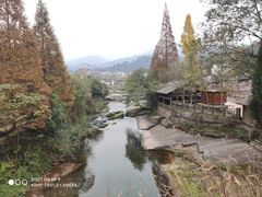 -中国大熊猫保护研究中心雅安碧峰峡基地