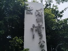 -深圳湾公园(南山区)