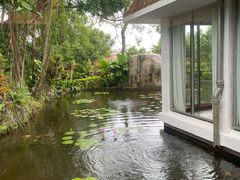 -鼓浪屿钢琴博物馆