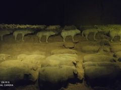 -汉景帝阳陵博物院