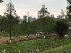 -重庆彩云湖湿地公园