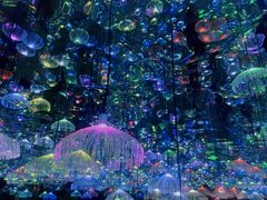 -天津梵高星空艺术馆(天河城旗舰店)