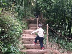 -川西竹海景区
