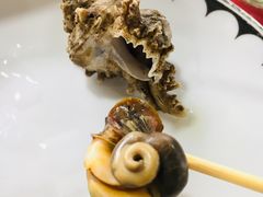 白灼海螺-罗源湾8号渔排