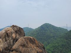 -南山植物园