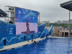 -上海海昌海洋公园