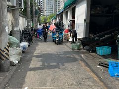 -大隐国际青年旅舍(上海陆家嘴东方明珠店)
