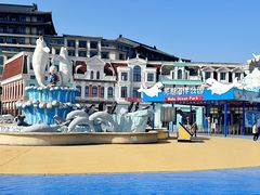 -芜湖新华联大白鲸海洋公园