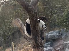 -宁波野生动物园