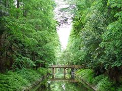 -东平国家森林公园