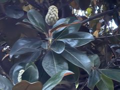 -北川羌城旅游区