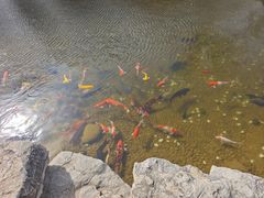 -青岛鑫江温德姆酒店