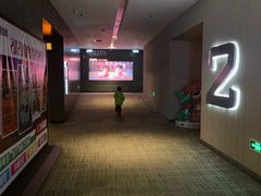 -汉阳天河电影城(王家湾店)