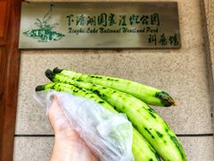 -下渚湖国家湿地公园科普馆