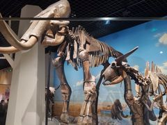 -国家自然博物馆