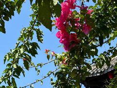 -寻龙山风景旅游区