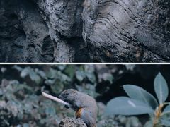 -雁荡山风景名胜区