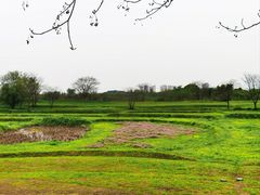 -盘龙城国家考古遗址公园