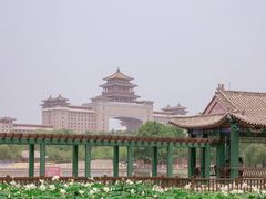 -莲花池公园