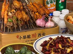 -福苗小骆驼烧烤(莲湖路店)