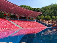 -杭州长乔极地海洋公园