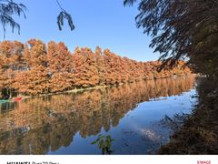 -上海海湾国家森林公园