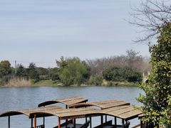-桃花岛景观公园