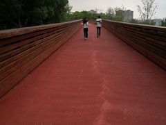 -昆山城市生态森林公园