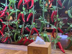 -望京一号·重庆江湖菜(工体店)