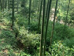 -千泷沟大瀑布旅游区