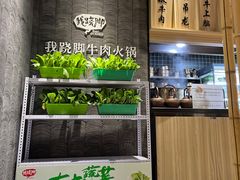 -菌子鲜汤野生菌锅