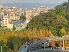 -福道
