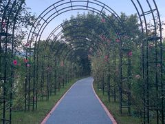 -福建鲤鱼洲酒店