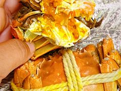 -阳澄湖大闸蟹·琼灵阁牌品牌连锁(吴中总店)