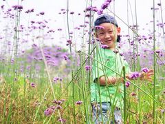 -杭州城北体育公园