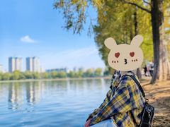 -洋湖国家湿地公园