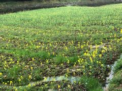 -韶山毛泽东同志故居