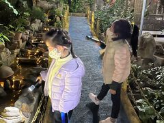 -晓雯人家