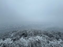 -紫金山山顶公园
