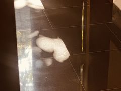 -三亚太阳湾柏悦酒店