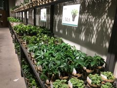 -鹿岛会员店 (龙湖三千集天街店)